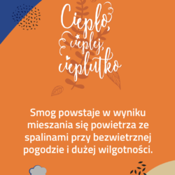 Gra dla dzieci, stoisko plenerowe dla dzieci, csr, dragon dreaming